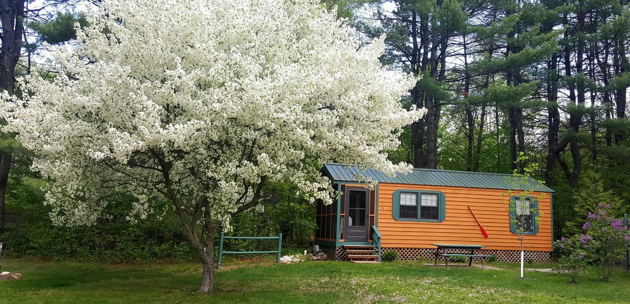 Silver Lake Park Campground & Cabins Hotel Belmont ภายนอก รูปภาพ